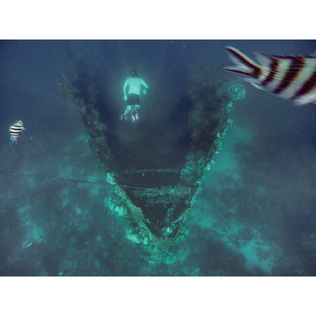 coron-reef-east-tangat-wrecks-tour-with-lunch