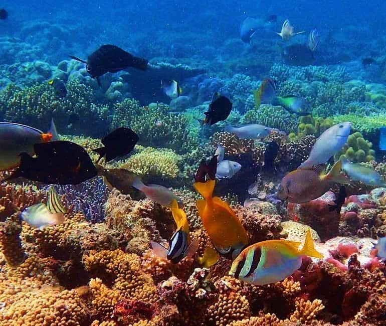 Coron: Siete Pecados & Pukaway Cave Private Tour - Navigating the Practicalities: What to Know Before You Book