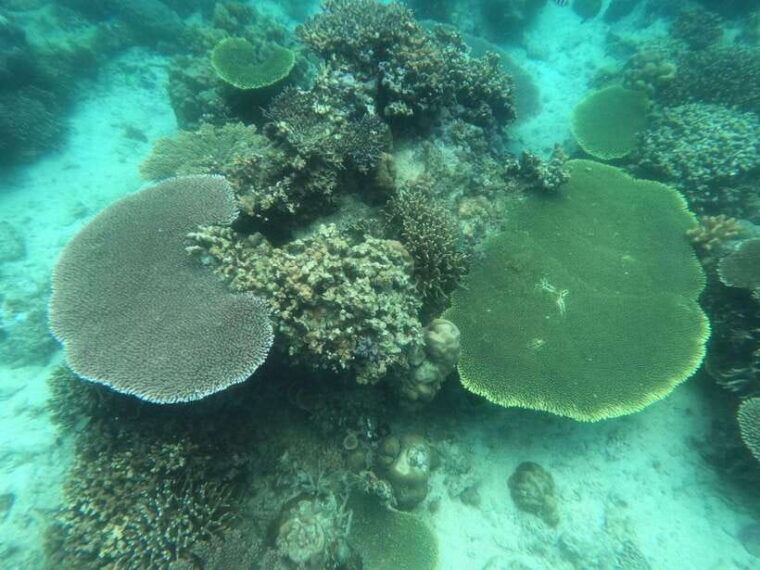 coronisland-tour-a-lakes-and-snorkeling-with-corals