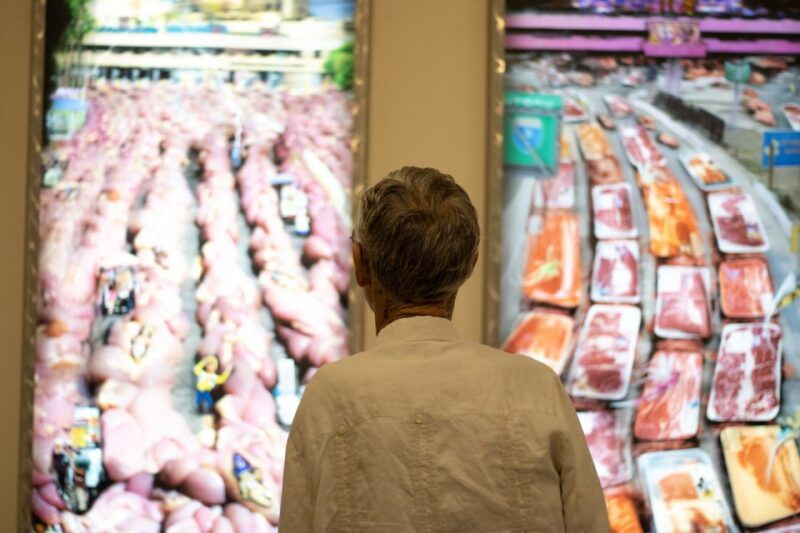 corpus-christi-the-art-museum-of-south-texas-entry-ticket