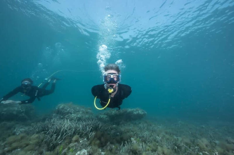 Corralejo: Lobos Island Beginner Dive Boat Tour and Snorkel - Key Points