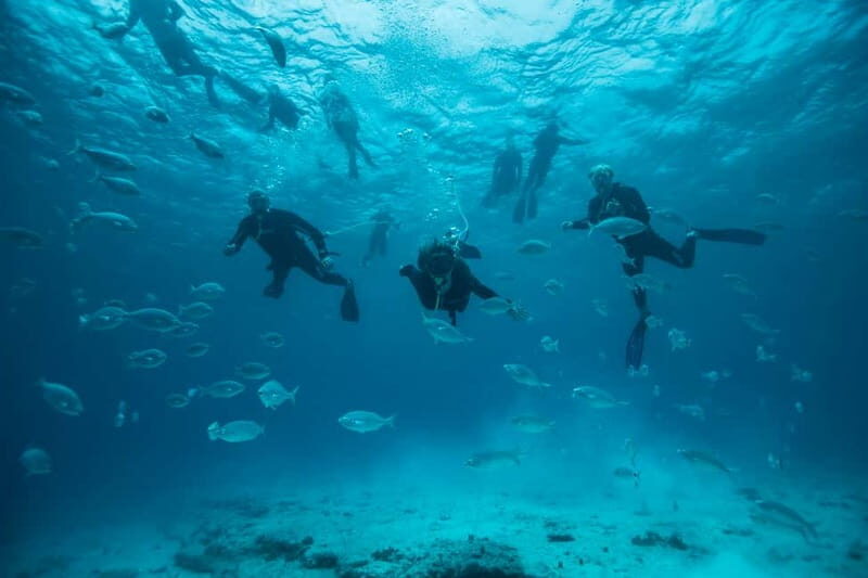 Corralejo: Lobos Island Beginner Dive Boat Tour and Snorkel - Who Should Book This Tour?