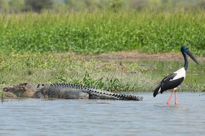 Corroboree Billabong 2.5 hour Lunch Cruise - Practical Details