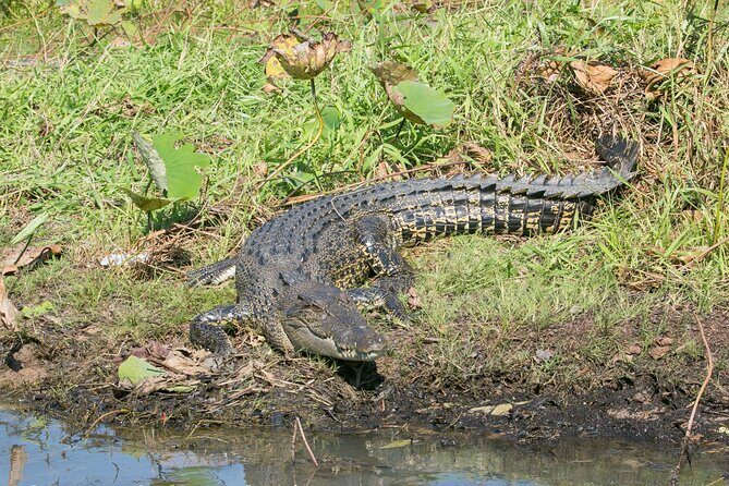 Corroboree Billabong 2.5 hour Lunch Cruise - Frequently Asked Questions