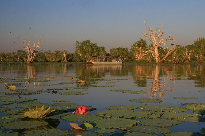 Corroboree Billabong Wetland Cruises - 2 hour Sunset Cruise - An In-Depth Look at the Corroboree Billabong Sunset Cruise