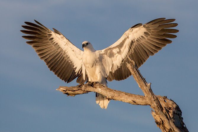 Corroboree Billabong Wetland Cruises - 2 hour Sunset Cruise - Who Should Consider This Cruise?