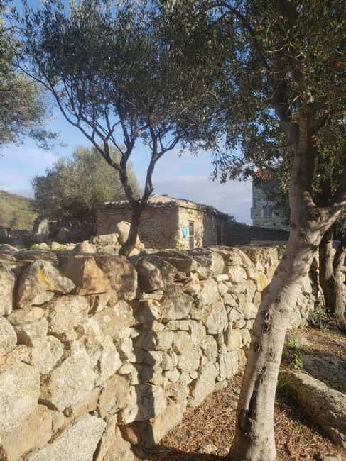 Corsica: Organic wine tasting - How the Tour Is Structured