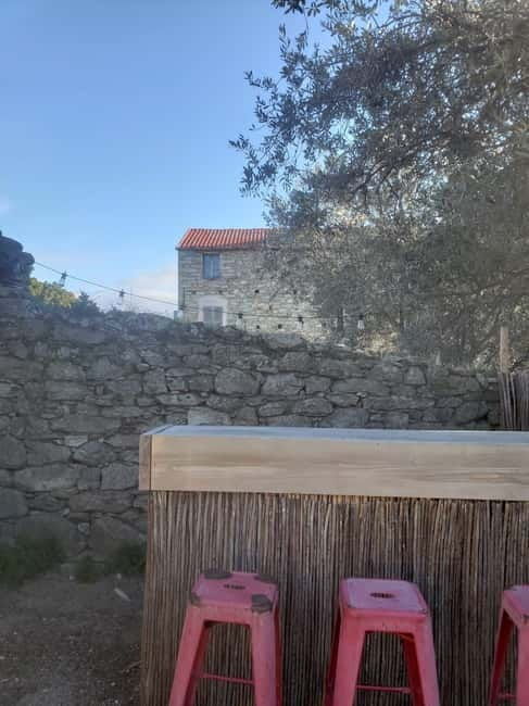 Corsica: Organic wine tasting - Is This Experience Worth It?
