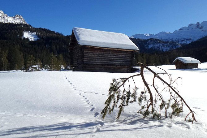cortina-dolomites-winter-hiking-sledding-experience