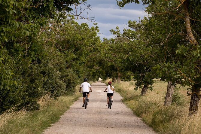 cortona-ebike-tour-and-wine-tasting-in-the-val-di-chiana-40e