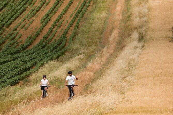 cortona-ebike-tour-and-wine-tasting-in-the-val-di-chiana-40e