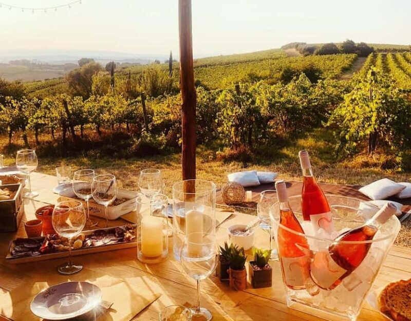 Cortona: Organic wines tasting at Colle Acacia's vineyards - Key Points