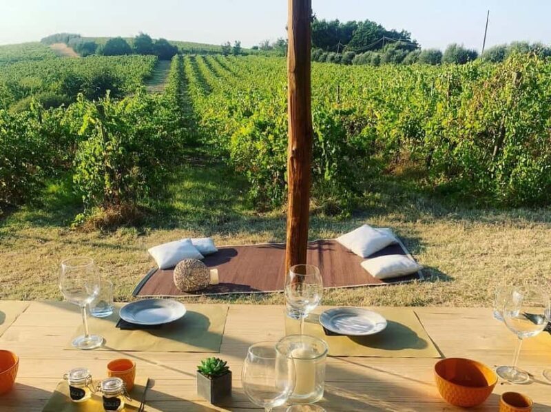 Cortona: Organic wines tasting at Colle Acacia's vineyards - FAQ