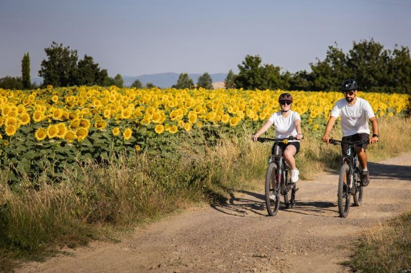 cortona-val-di-chiana-e-bike-tour-with-optional-wine-lunch
