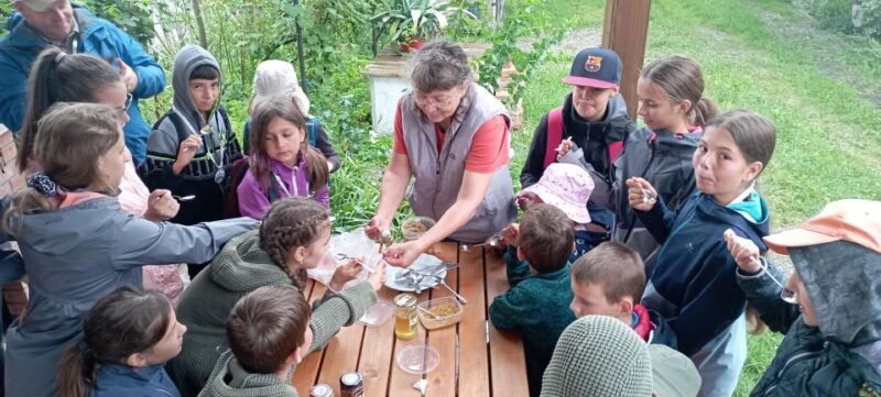 corund-hr-visit-to-bee-keeper-tasting-hive-opening