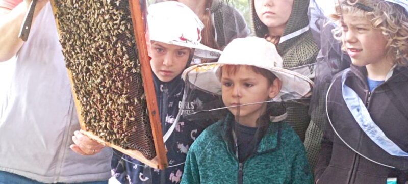 corund-hr-visit-to-bee-keeper-tasting-hive-opening