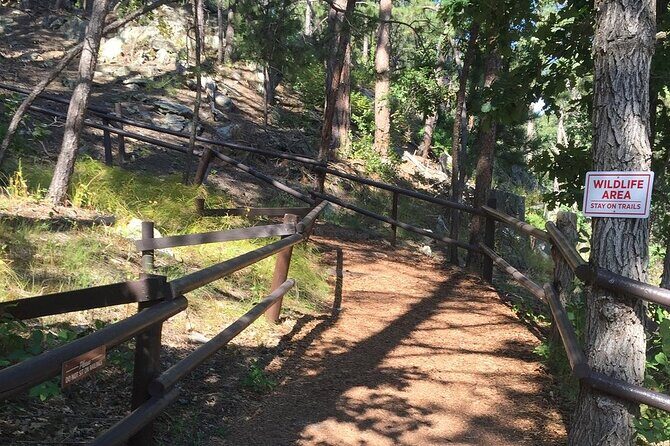 Cosmos Mystery Area Admission - FAQ about the Cosmos Mystery Area