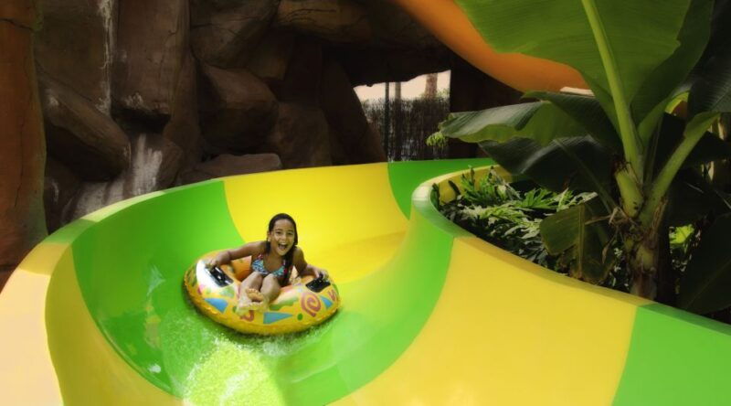 costa-adeje-aqualand-water-park-ticket-with-dolphin-show