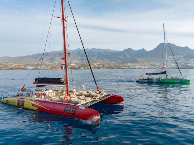 costa-adeje-masca-and-los-gigantes-whale-watching-cruise