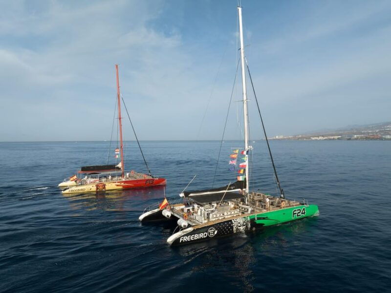 costa-adeje-masca-and-los-gigantes-whale-watching-cruise