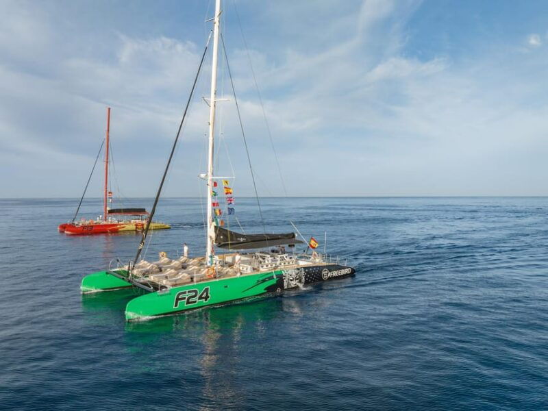 costa-adeje-masca-and-los-gigantes-whale-watching-cruise