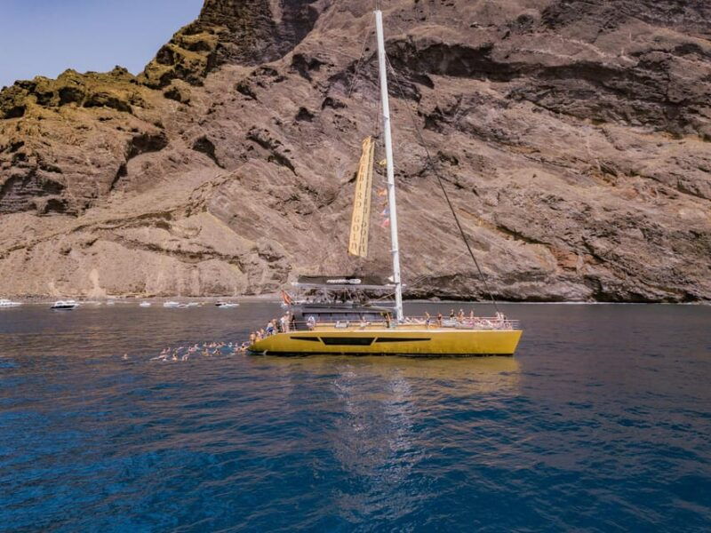 costa-adeje-masca-and-los-gigantes-whale-watching-cruise