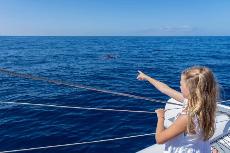 costa-adeje-masca-and-los-gigantes-whale-watching-cruise
