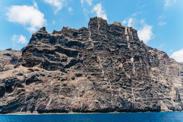 costa-adeje-masca-and-los-gigantes-whale-watching-cruise