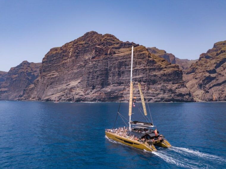 costa-adeje-masca-and-los-gigantes-whale-watching-cruise