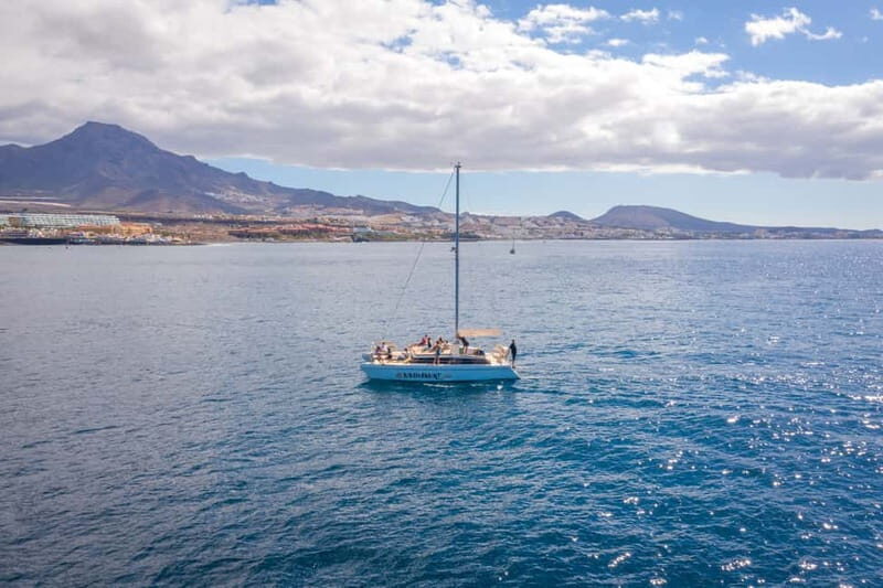 Costa Adeje: Private Catamaran Tour 22 Persons Max - An Honest Look at the Experience