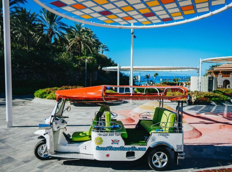 costa-adeje-secret-volcano-tuk-tuk-tour