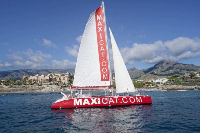 costa-adeje-whale-and-dolphin-cruise-with-food-and-pickup