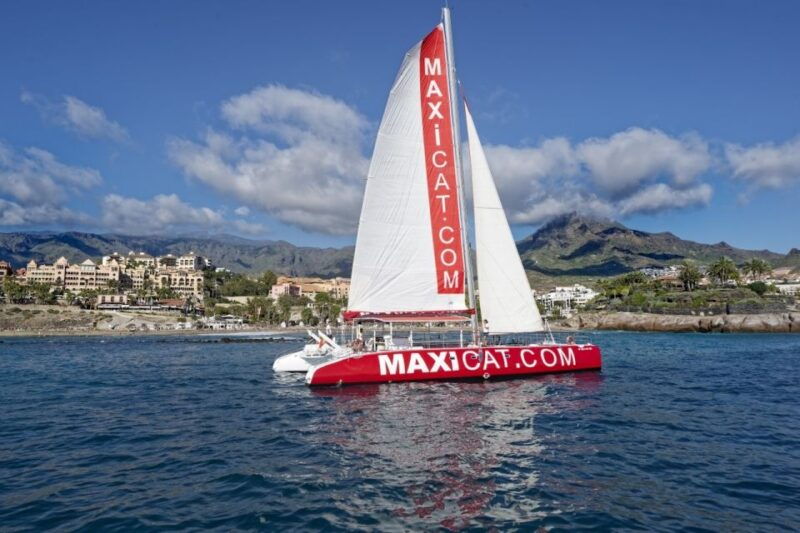 costa-adeje-whale-and-dolphin-cruise-with-food-and-pickup