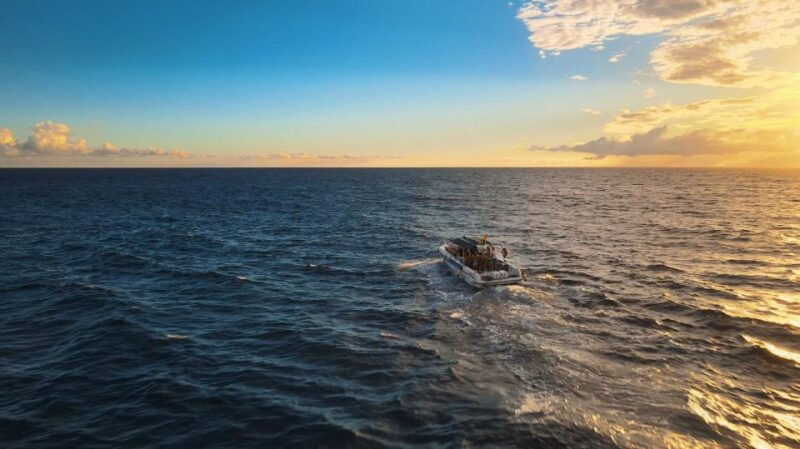 costa-adeje-whale-and-dolphin-watching-boat-excursion