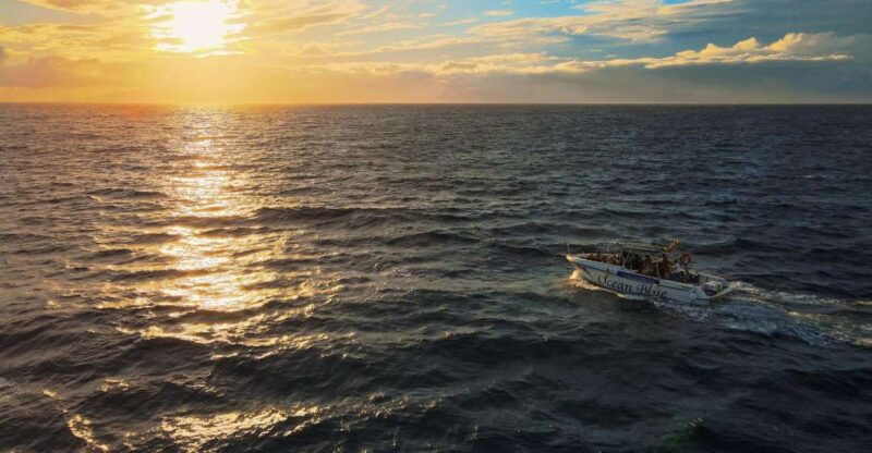 costa-adeje-whale-and-dolphin-watching-boat-excursion