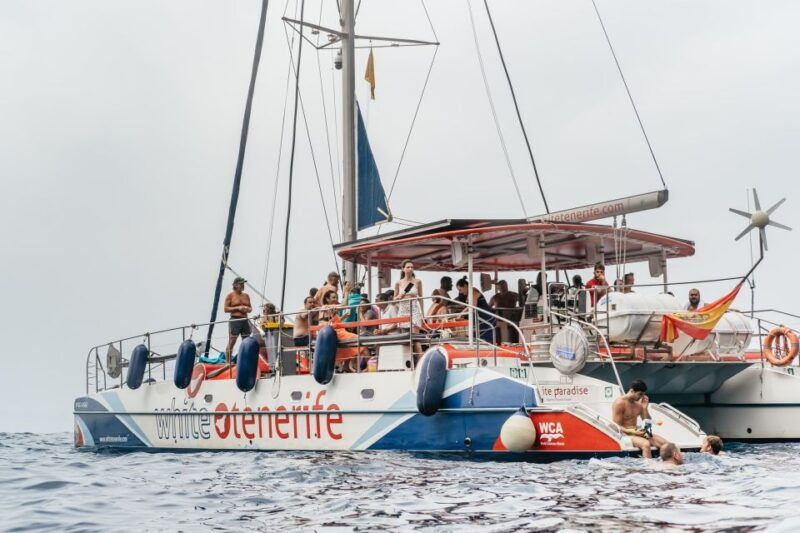 costa-adeje-whale-dolphin-eco-cruise-with-snacks-drinks