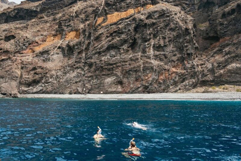 costa-adeje-whale-dolphin-eco-cruise-with-snacks-drinks