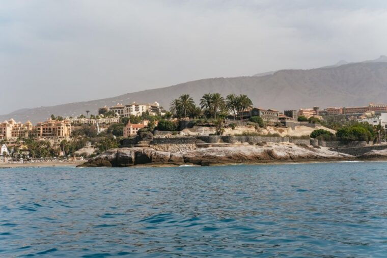 costa-adeje-whale-dolphin-eco-cruise-with-snacks-drinks