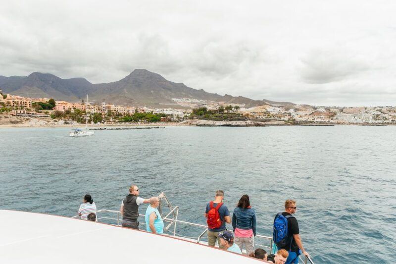 costa-adeje-whale-dolphin-submarine-vision-mini-cruise