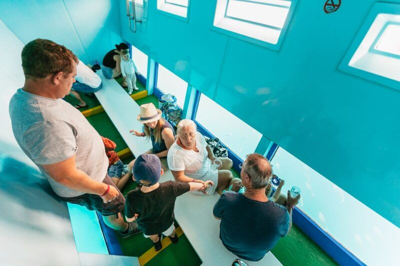 costa-adeje-whale-dolphin-submarine-vision-mini-cruise
