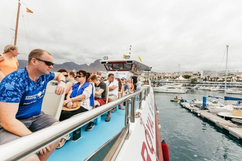 costa-adeje-whale-dolphin-submarine-vision-mini-cruise