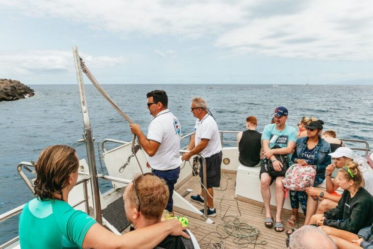 costa-adeje-whale-dolphin-submarine-vision-mini-cruise