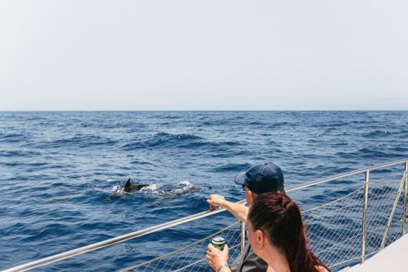 costa-adeje-whale-watching-catamaran-tour-with-drinks