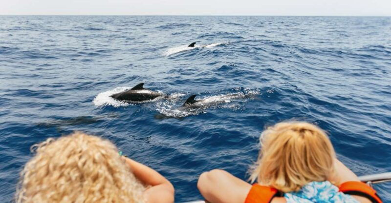 costa-adeje-whale-watching-catamaran-tour-with-drinks