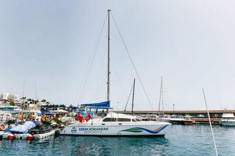 costa-adeje-whale-watching-catamaran-tour-with-drinks