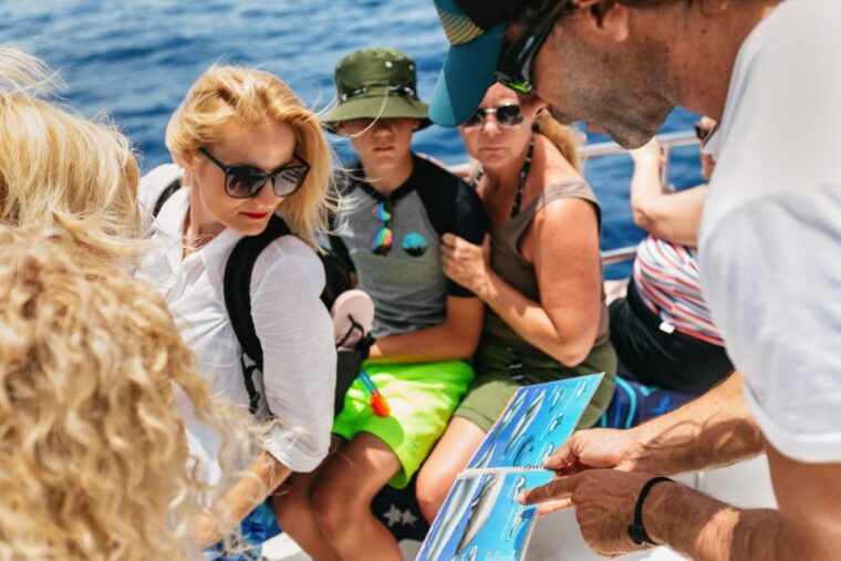 costa-adeje-whale-watching-catamaran-tour-with-drinks