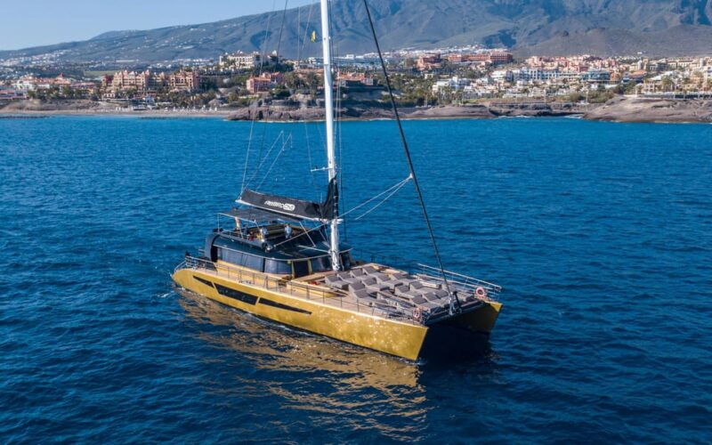 costa-adeje-whale-watching-cruise-with-snack-and-drinks