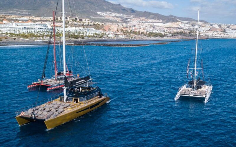 costa-adeje-whale-watching-cruise-with-snack-and-drinks