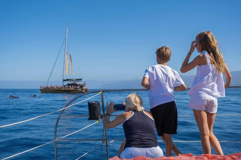 costa-adeje-whale-watching-cruise-with-snack-and-drinks
