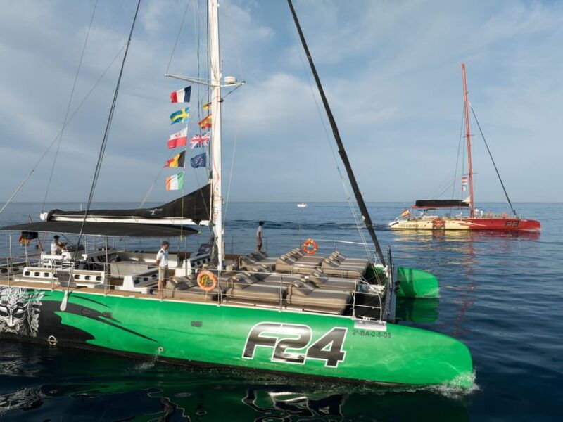 costa-adeje-whale-watching-cruise-with-snack-and-drinks
